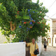 Panayiotis, 80
