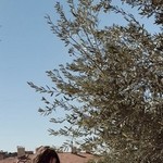 �����, 37