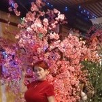 , 55